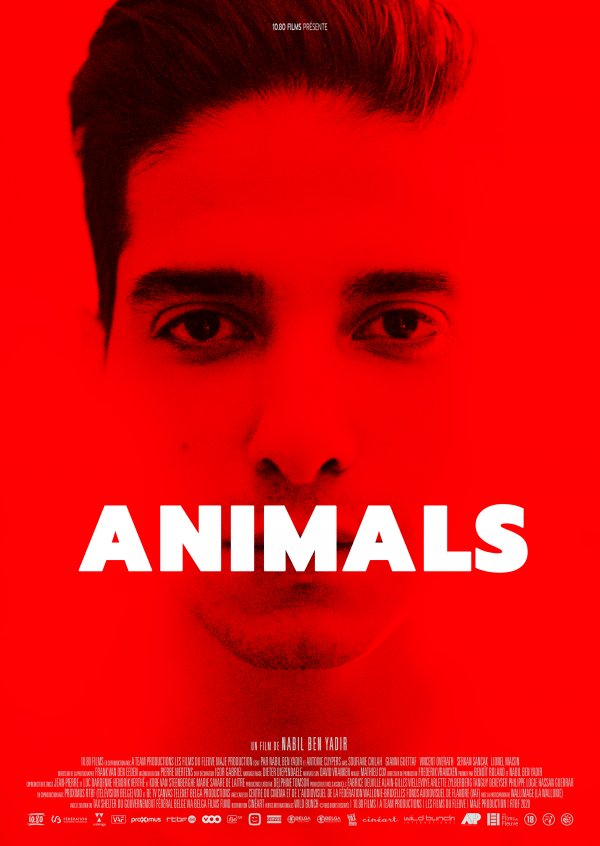 Animals (2021), un film de Nabil Ben Yadir